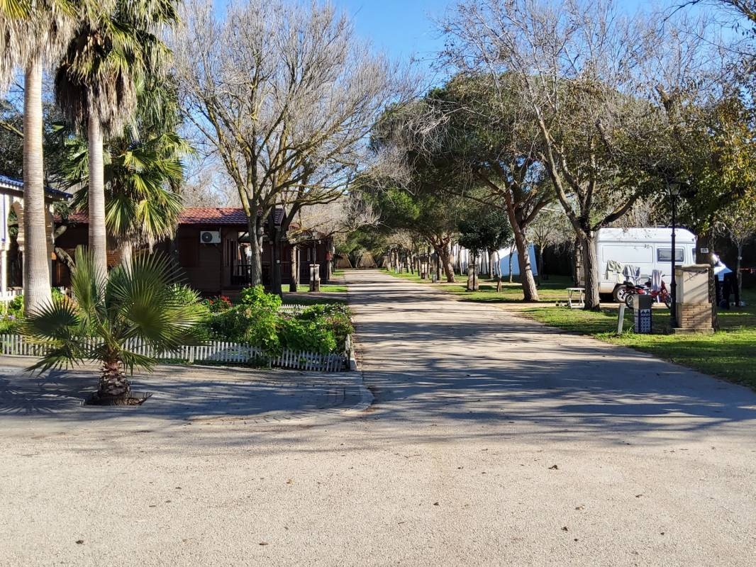Camping El Palmar — Camping in El Palmar, Vejer de la Fra. / Andalucía