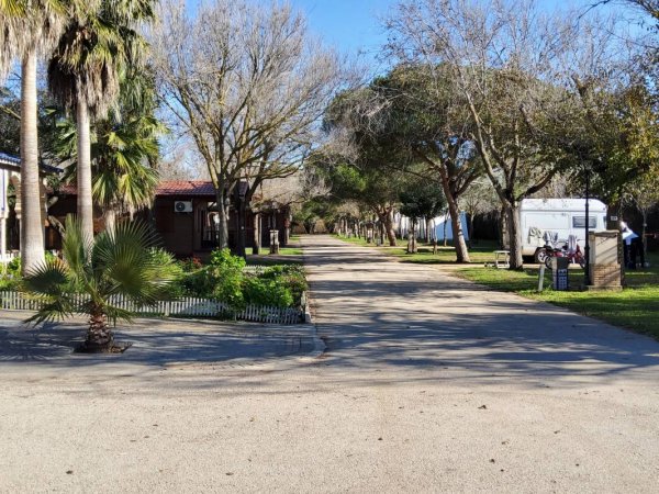 Camping El Palmar — Foto 5
