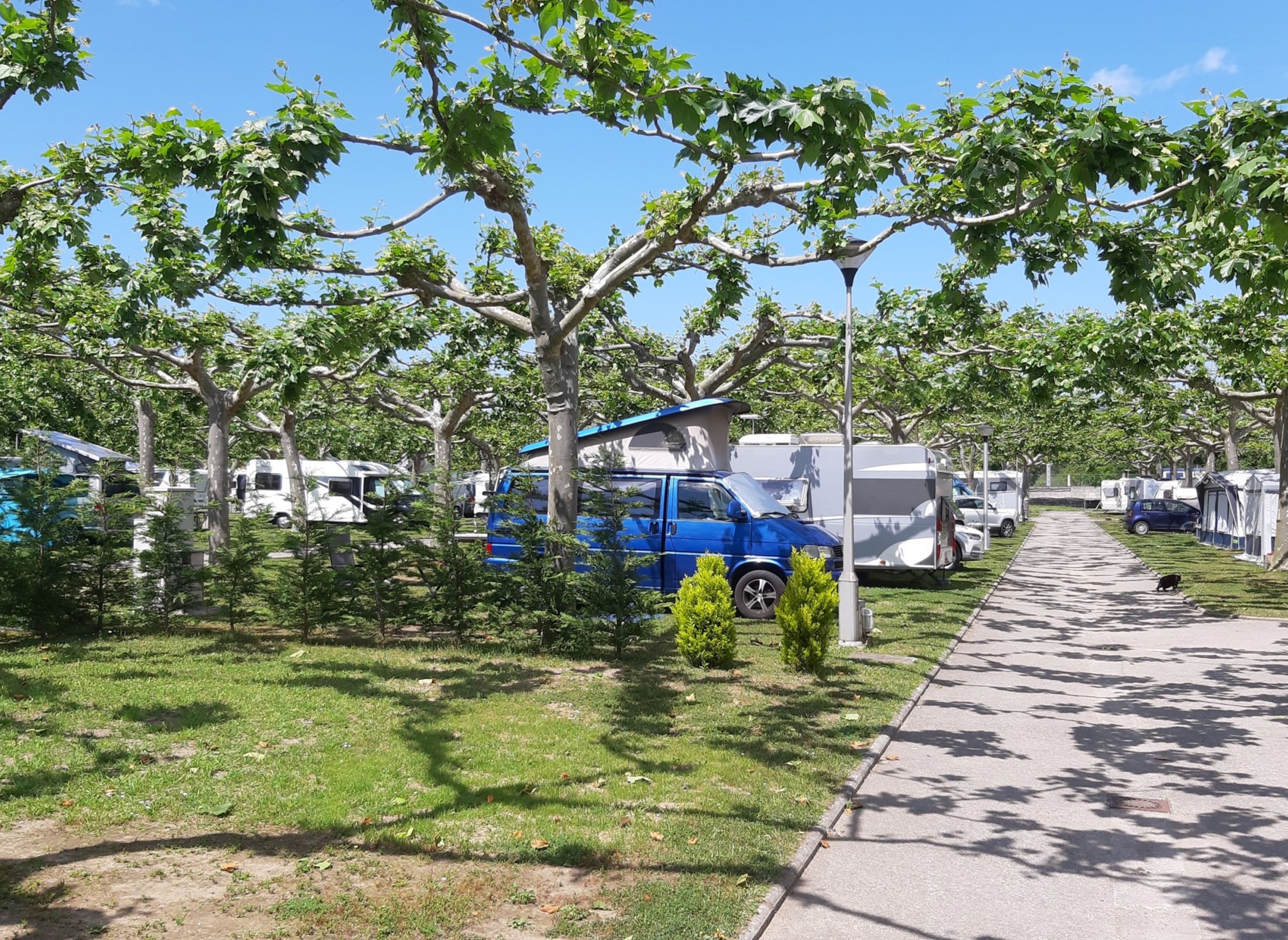 Camping Playa del Regatón — Kamp yeri in Laredo / Cantabria