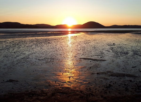 Camping Playa del Regatón — Photo 5