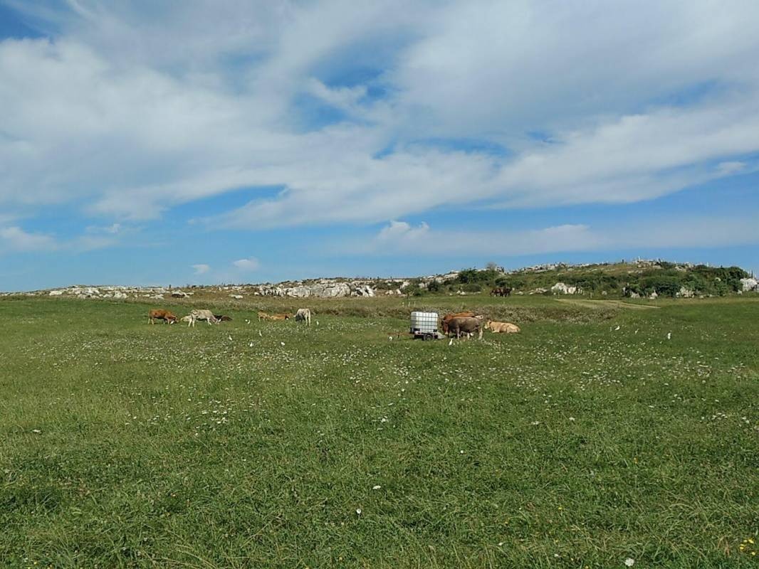 236 — Місце для кемпінгу in Cuchia