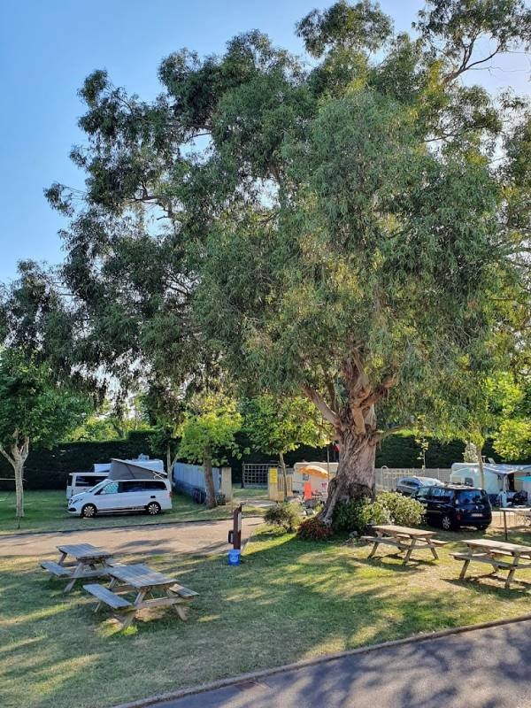 Camping Laredo — Kemp in Laredo / Cantabria