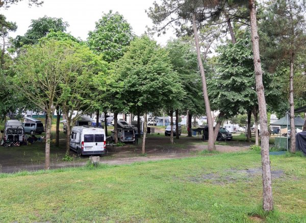 Camping El Rosal — Photo 4