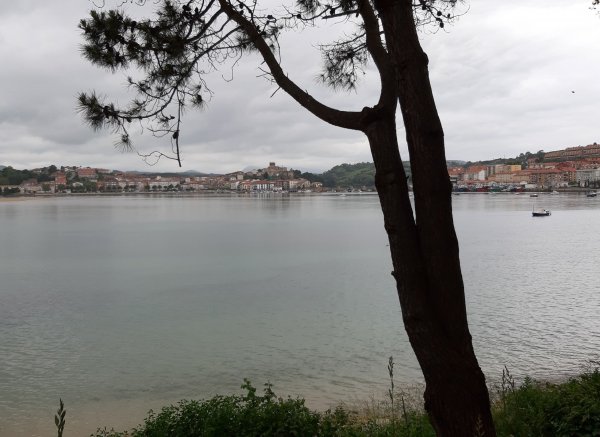 Camping El Rosal — Photo 3