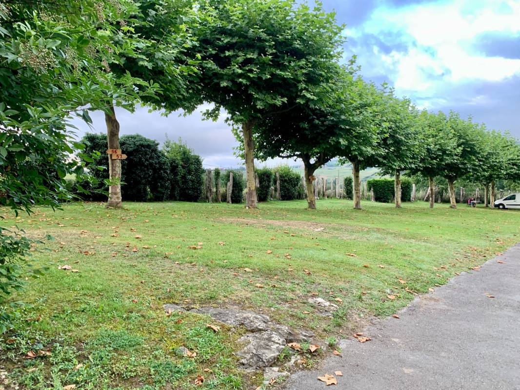 Altamira Camping Park — Kamp yeri in Queveda / Cantabria