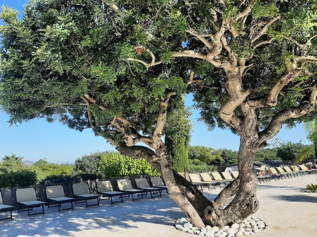 Camping Bungalows L'Orangeraie — Camping in Cálig