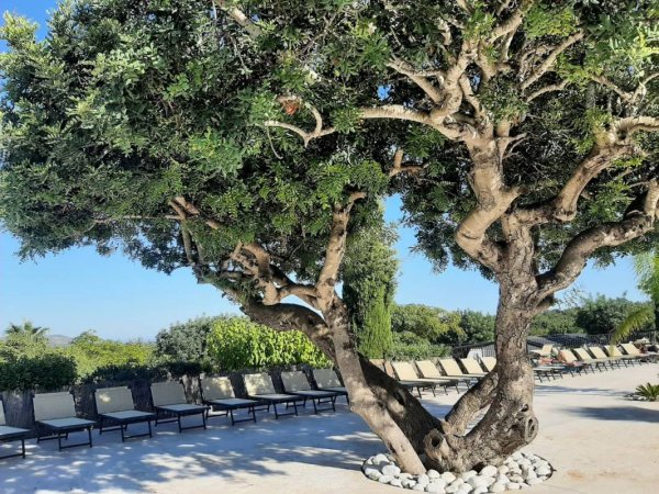 Camping Bungalows L'Orangeraie