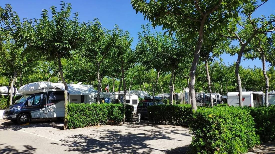 Bonterra Park Campings & Bungalows — Cámping in Benicàssim