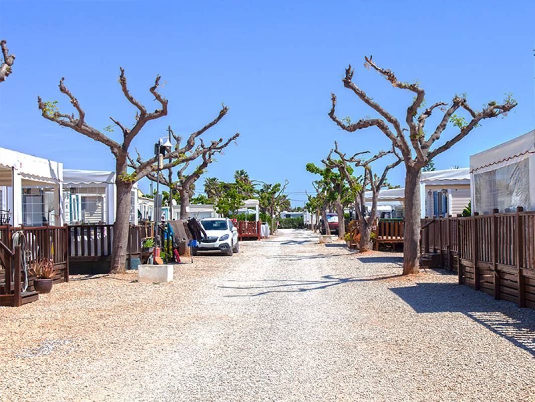 Camping Alegría del Mar *** — Kemp in Benicarló / Comunidad Valenciana