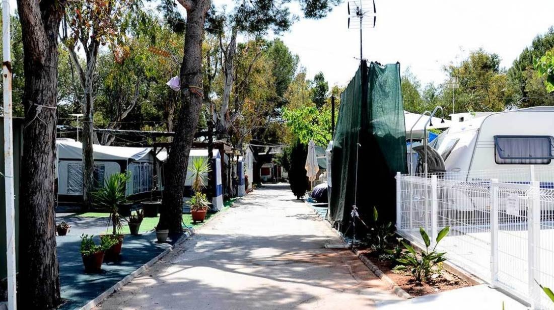 Camping Gran Avenida — Campingplatz in Benicasim / Comunidad Valenciana