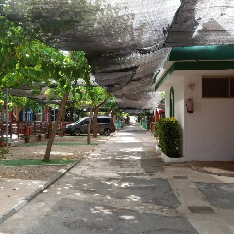 camping y bungalow Oasis — Kamp yeri in Orpesa / Comunidad Valenciana