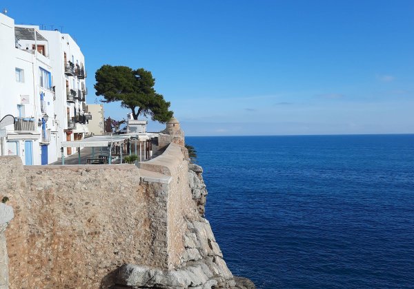 Camping Edén — Photo 3