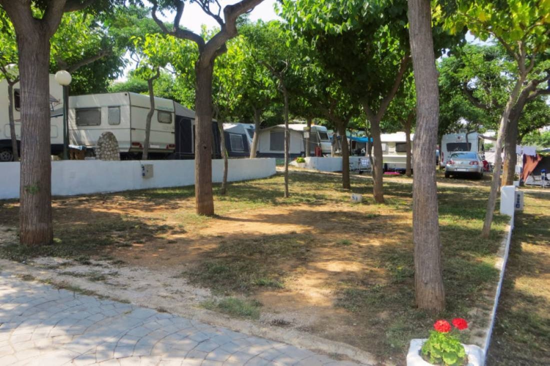 Bungalows Camping Ferrer — Campingplass in Peníscola / Comunidad Valenciana