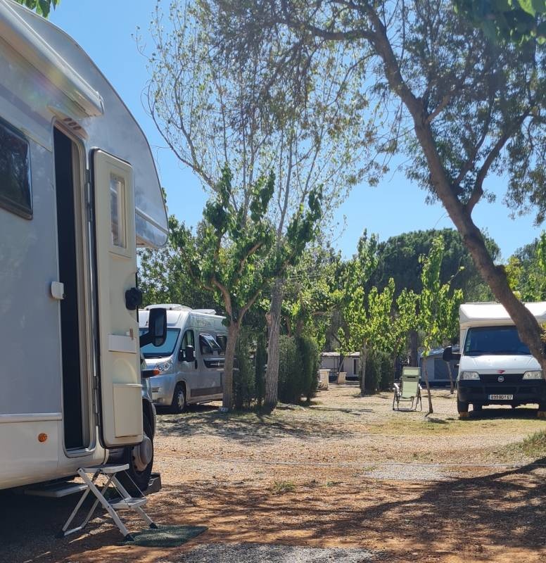 Camping Sol D'Or — Campingplatz in Peñíscola / Comunidad Valenciana