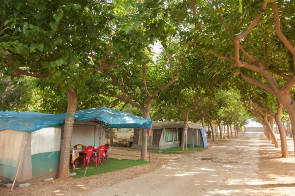 Camping VIZMAR — Photo 2