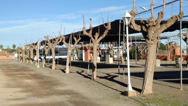 Camping Mediterráneo — Campingplatz in Chilches / Comunidad Valenciana