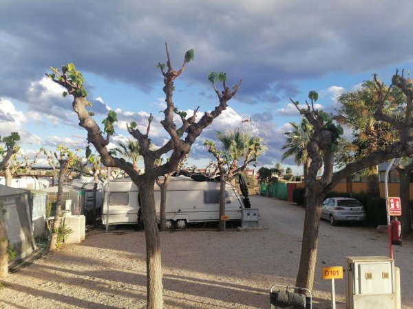 Camping Vinarós — Photo 2