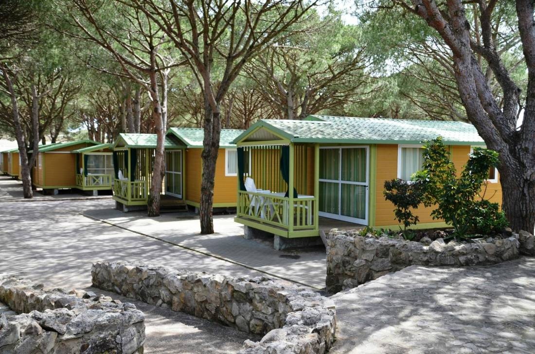 Camping Los Caños — Kamp yeri in Tejar ( El ) / Córdoba