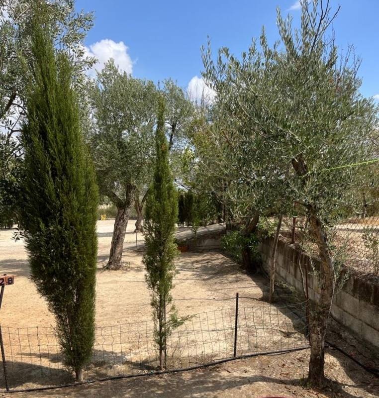 Camping La Campina — Kamp yeri in La Guijarrosa 