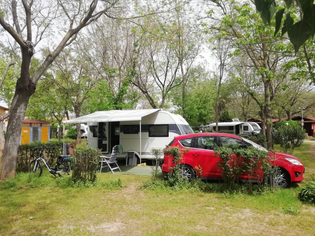 Camping La Albolafia — Kamp yeri in Villafranca / Cordoba