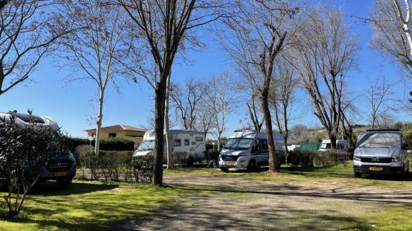 Camping La Albolafia — Fotoğraf 2