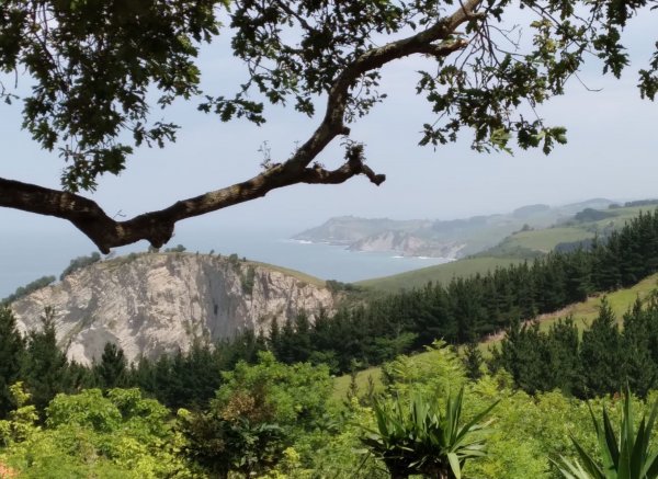 Camping & Bungalows Itxaspe — Photo 6