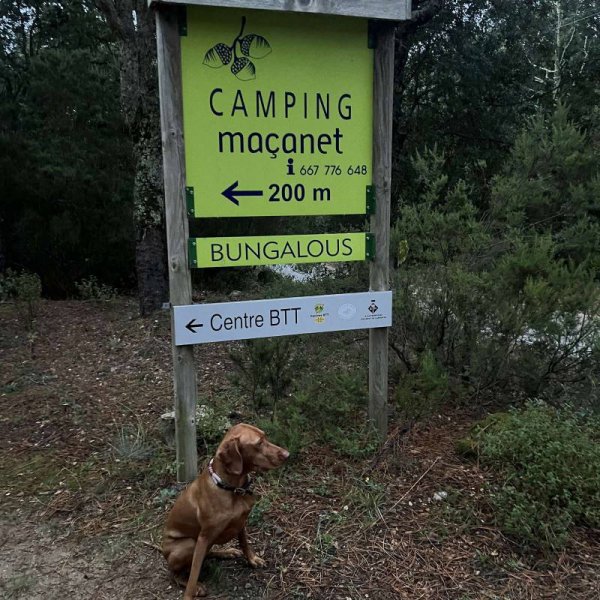 Camping Maçanet De Cabrenys — Photo 4