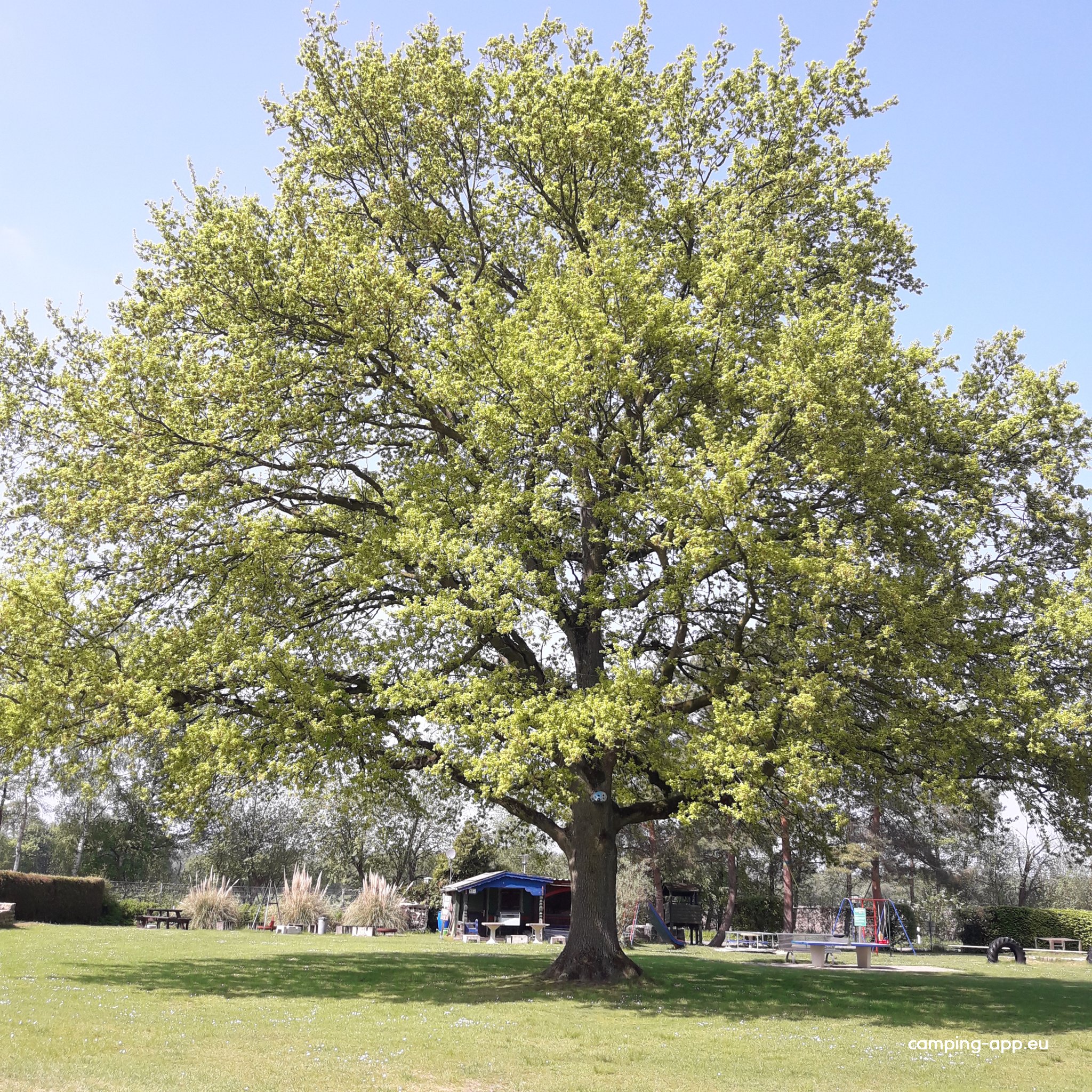 Campingplatz Blauer See *** — Fotografie 2