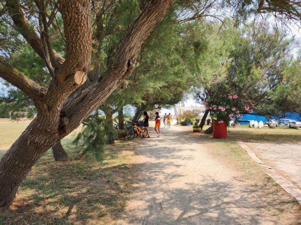 Camping L'Àmfora — Foto 3