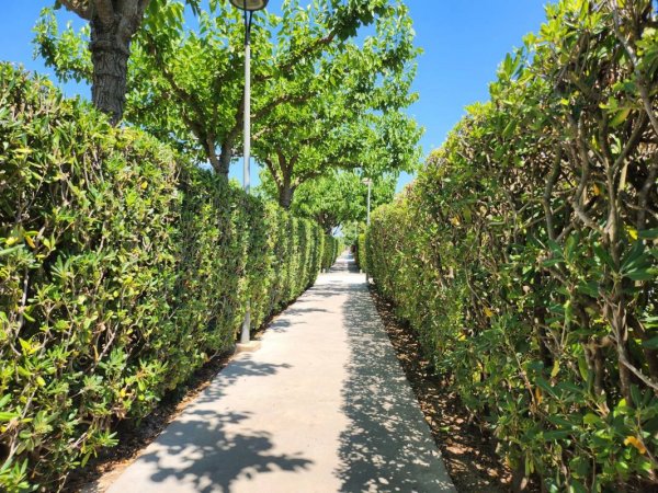 Camping L'Àmfora — Foto 2