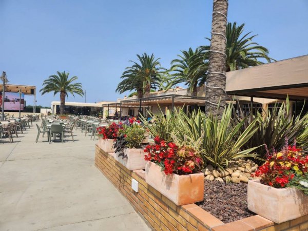 Camping L'Àmfora — Photo 6