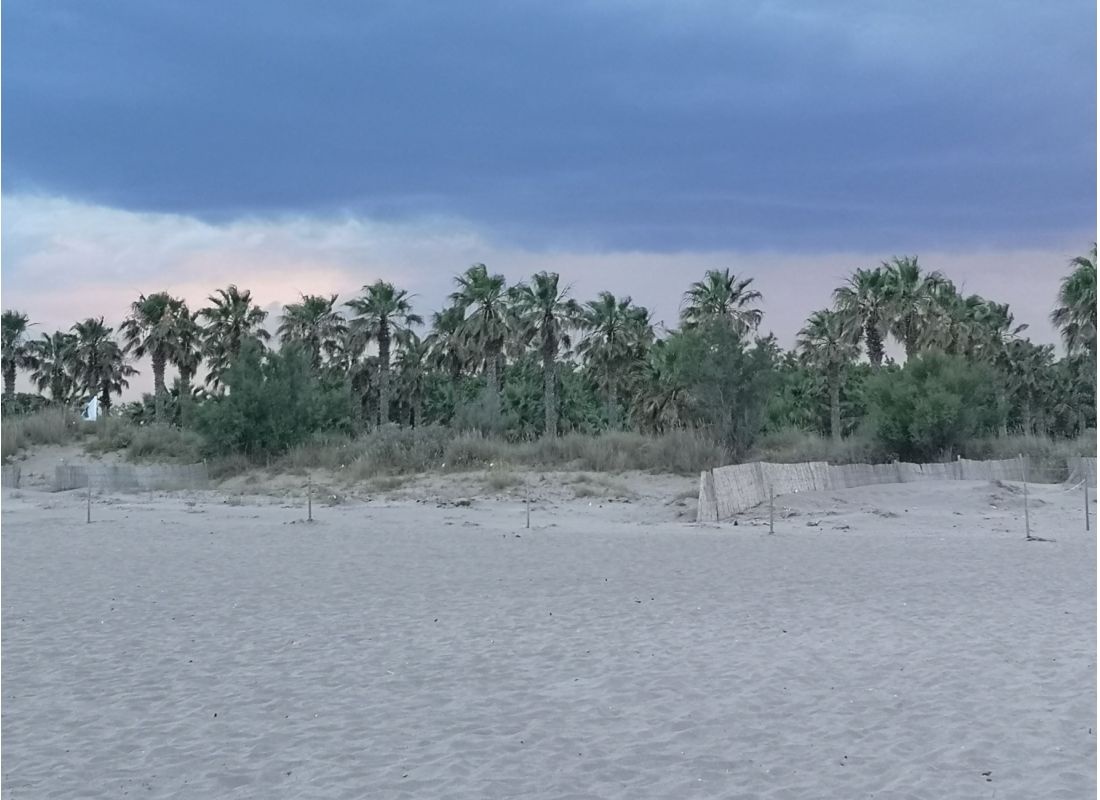 Camping Las Dunas — Campingplass in Sant Pere Pescador / Catalunya