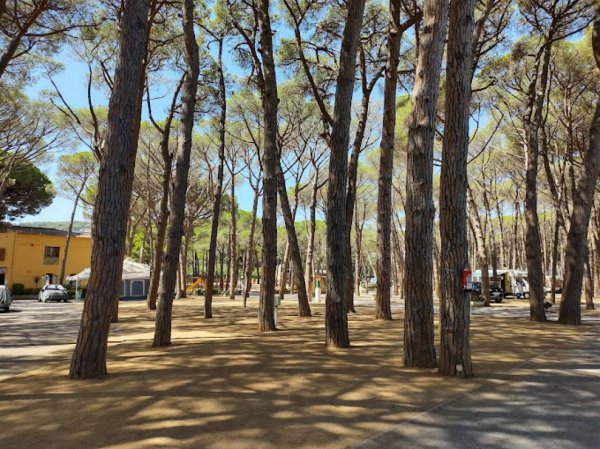 Camping Costa Brava — Fotoğraf 3