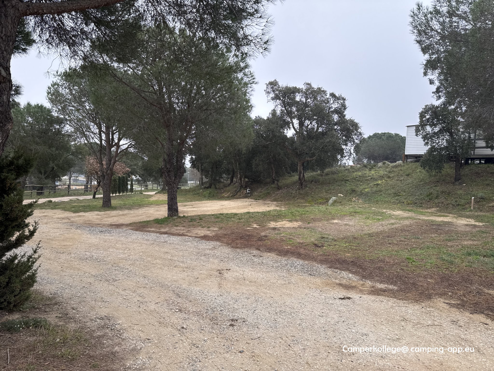 Camping L'Albera — Fotoğraf 2