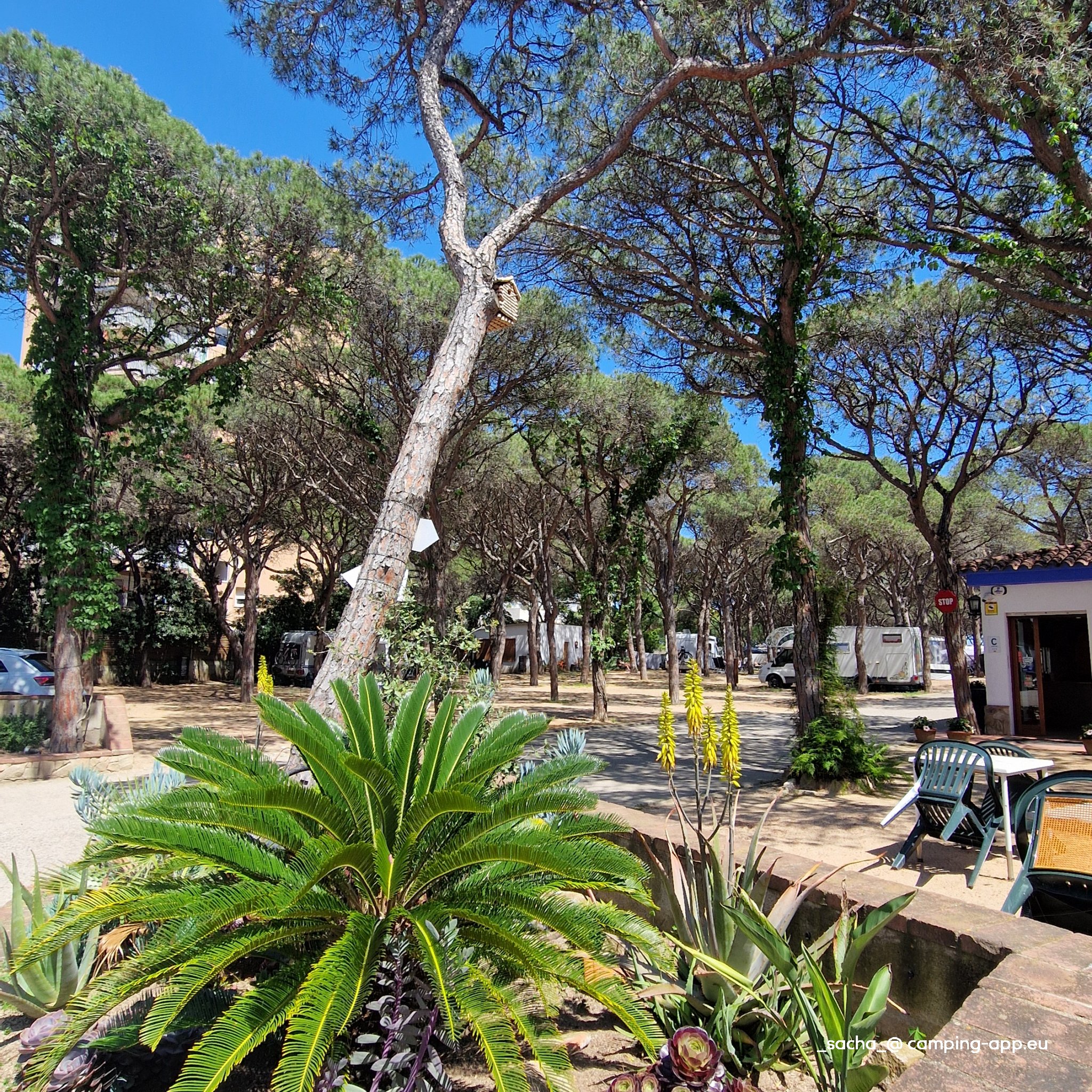 Camping Blanes — Foto 3