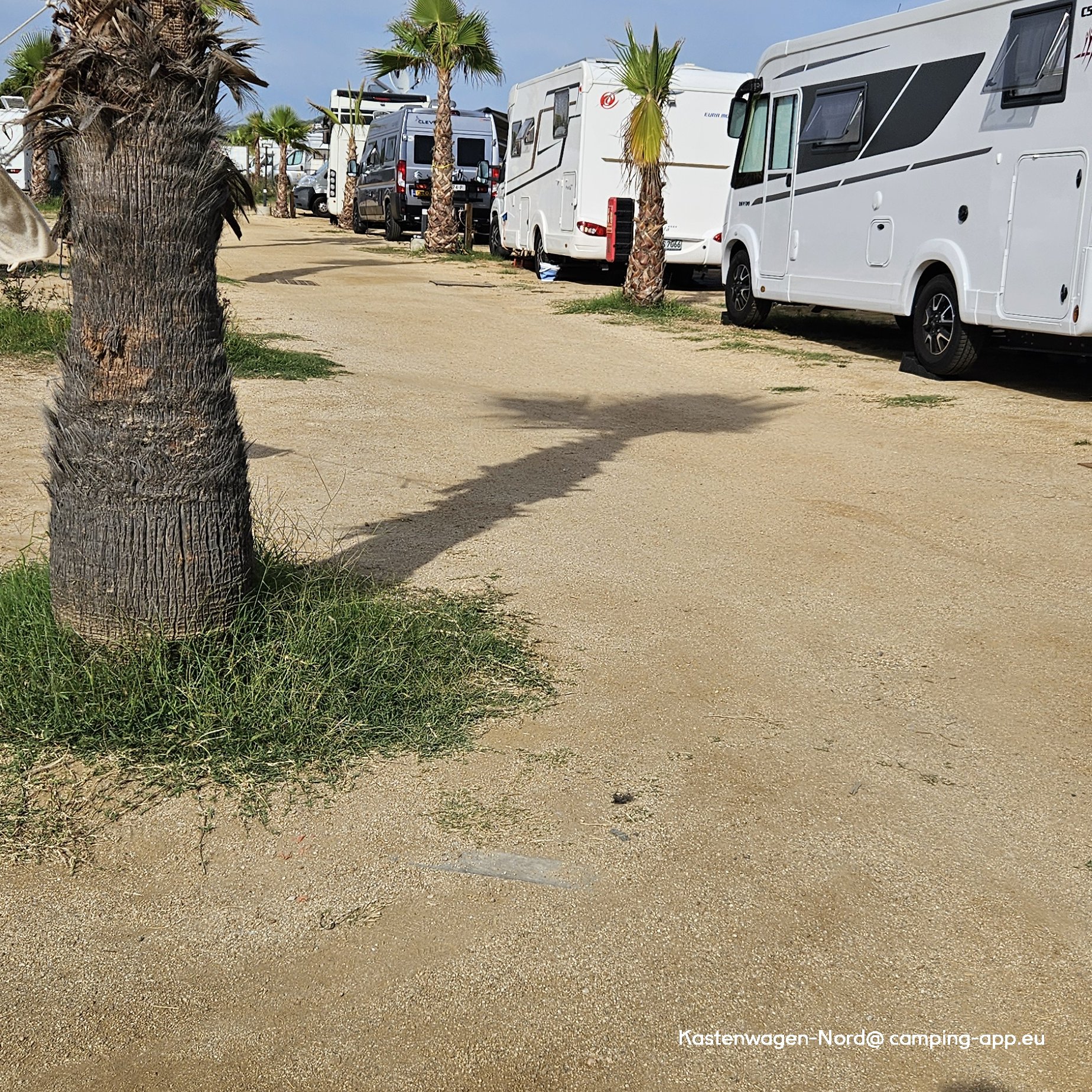 Càmping El Pinar — Foto 6