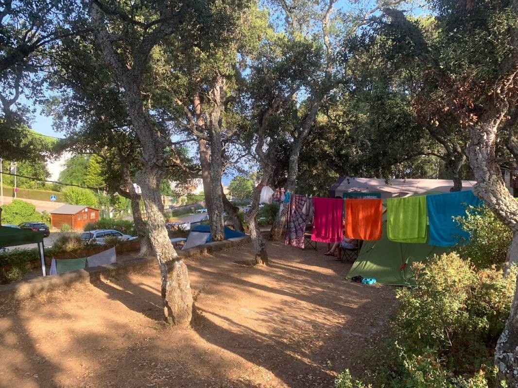 Camping Moby Dick — 露营地 in Calella de Palafrugell
