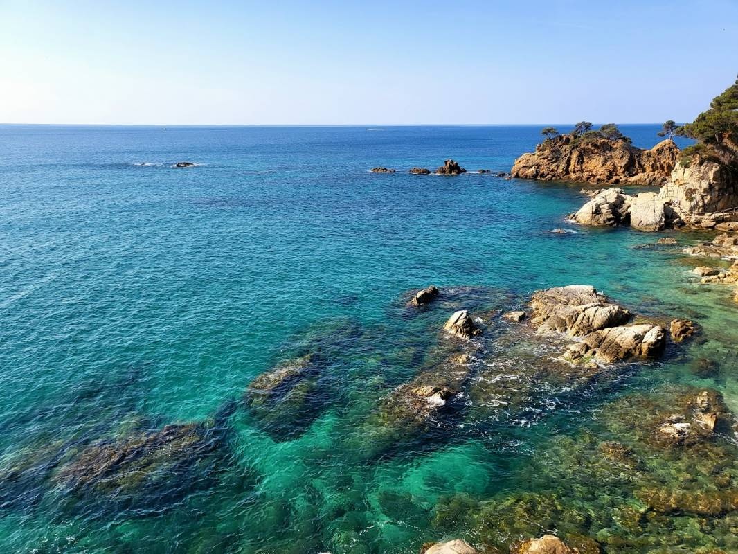 Camping Cala Gogo — Camping in Calonge / Girona