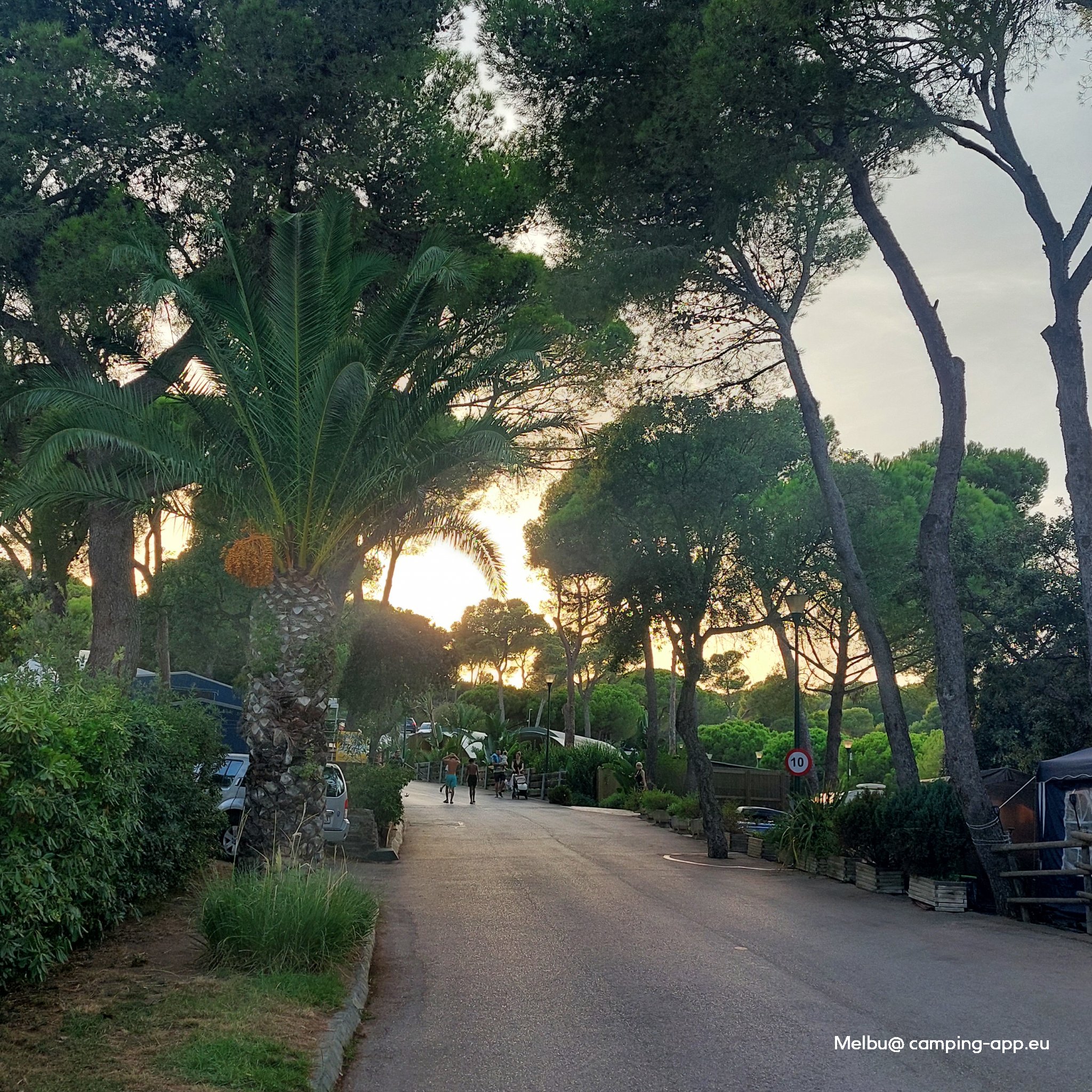 Camping Cala Gogo ****