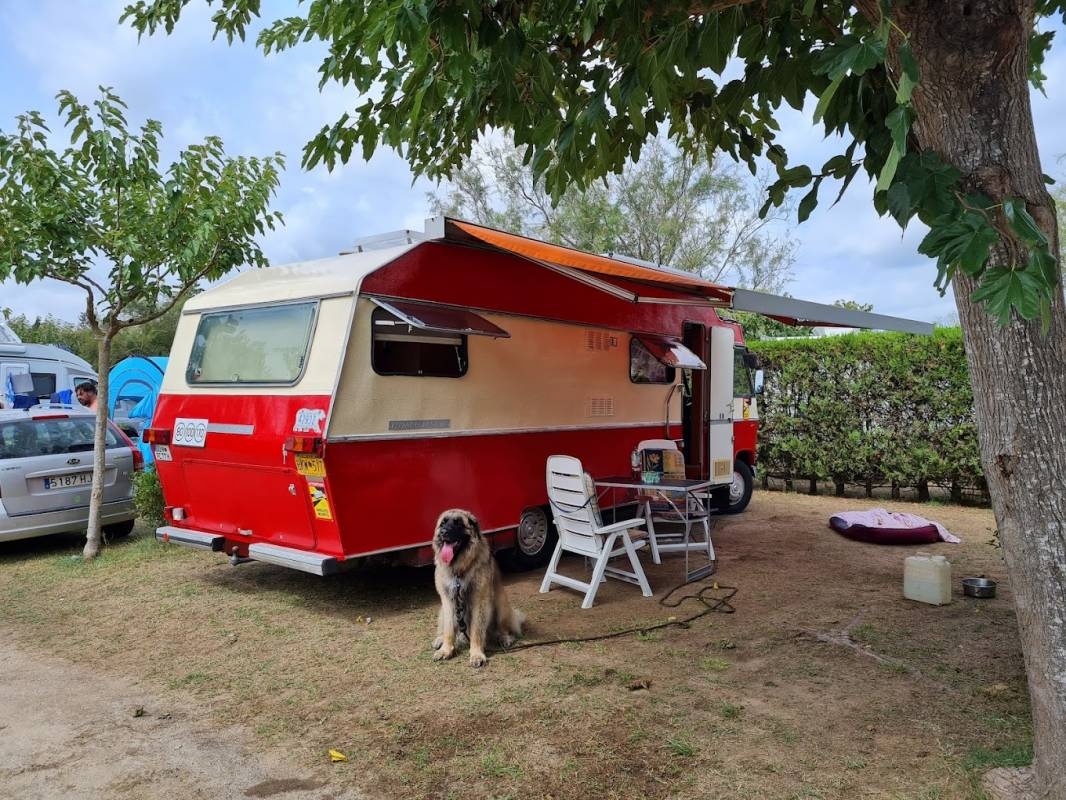 Camping Castell Mar — Campingplatz in Castelló d’Empuries / Cataluña