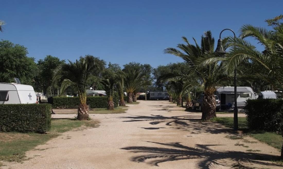 CAMPING MAS NOU — Camping in  / Cataluña