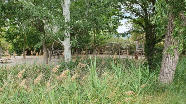 Rubina Resort — Photo 3