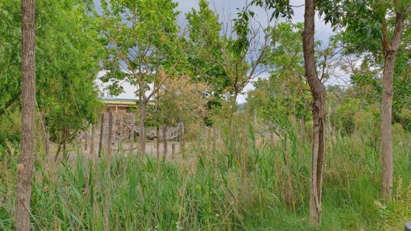 Rubina Resort — Photo 6