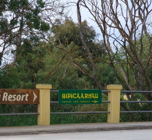 Rubina Resort — Photo 5