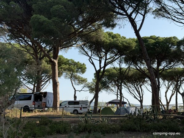 Camping El Molino — Photo 3