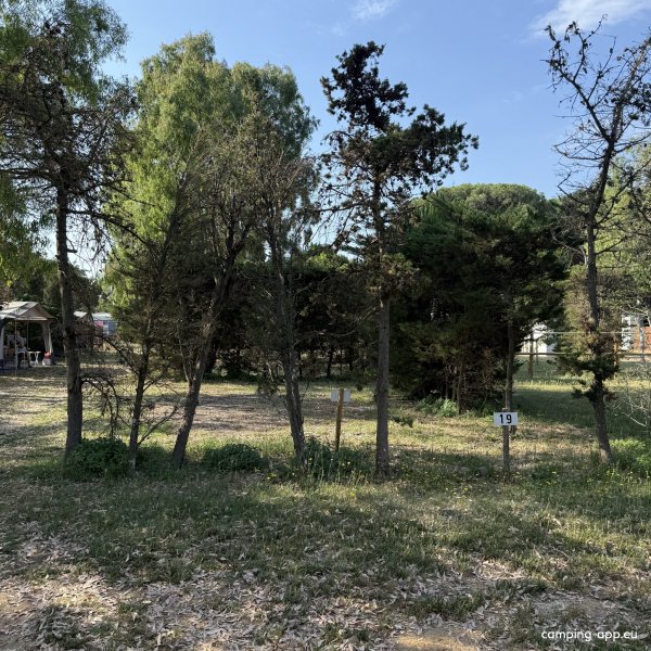 Camping El Molino — Photo 4