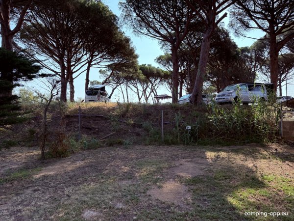 Camping El Molino — Photo 6