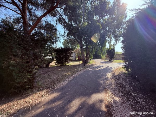 Camping El Molino — Photo 5