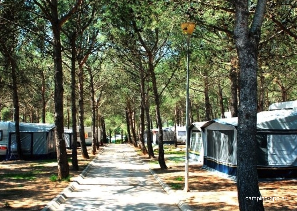 Càmping King's — Camping in Palamós i Sant Joan (Girona)