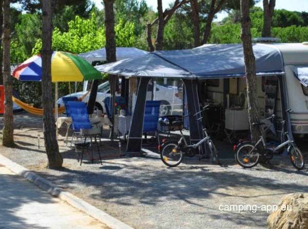 Càmping King's — Photo 2